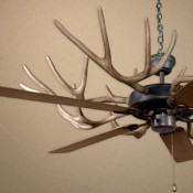 Ceiling Fan Chandeliers (0)