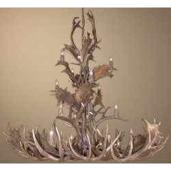 Buckingham Real Antler Fallow & Mule Deer Grand Chandelier  ACS-FALLOWMDEUR