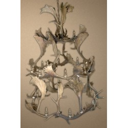 Big Sky Real Antler Fallow Deer Chandelier CD-FMDG