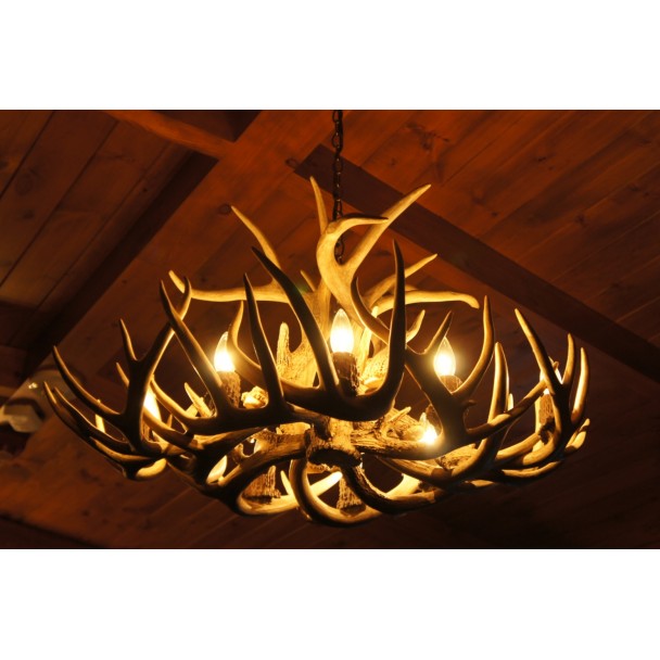 Real Antler Whitetail Oblong Chandelier WTO